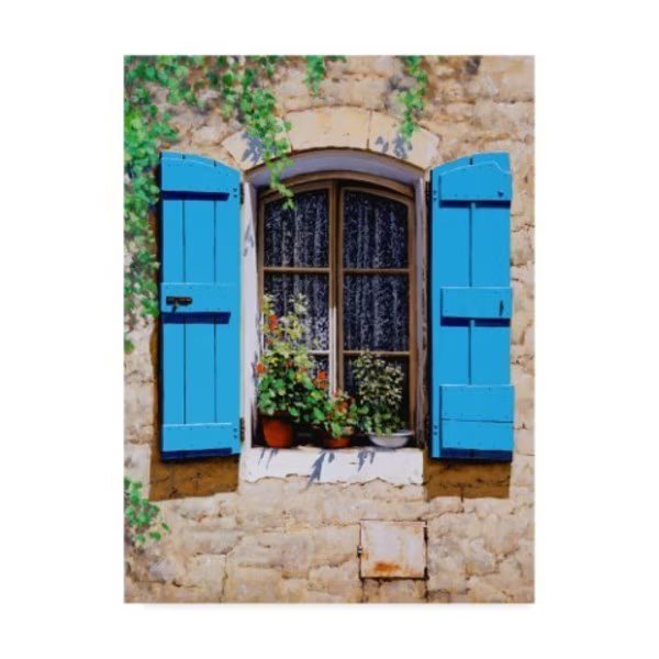 Michael Swanson 'Blue Shutters' Canvas Art, 14x19, Trademark Fine Art, Mfr#: WAG00959-C1419GG